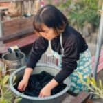 猪爪麻衣子