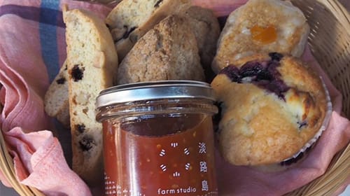 farm studio