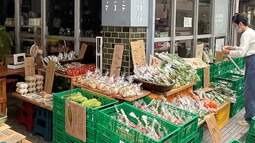 タネカら商店