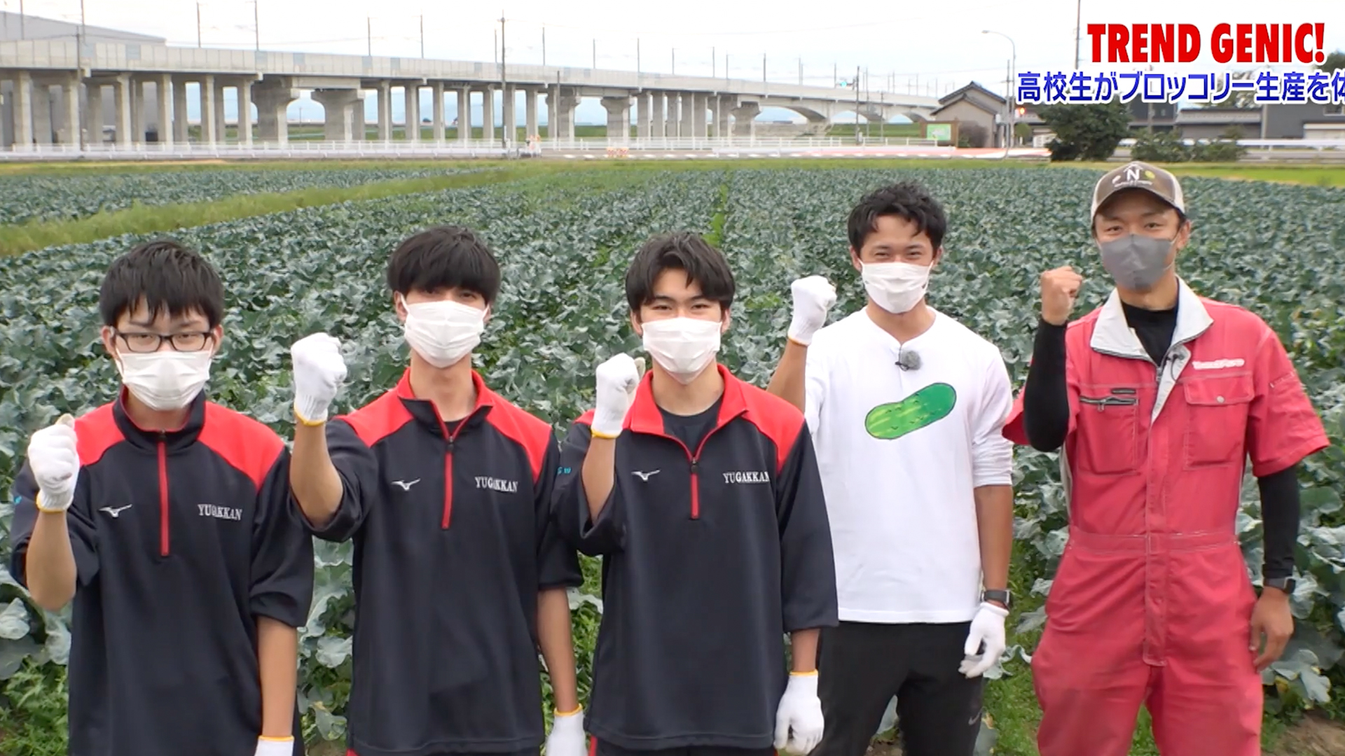 絶好調W「トレンドジェニック」白山市 ブロッコリー生産 安井ファームで高校生が農業体験