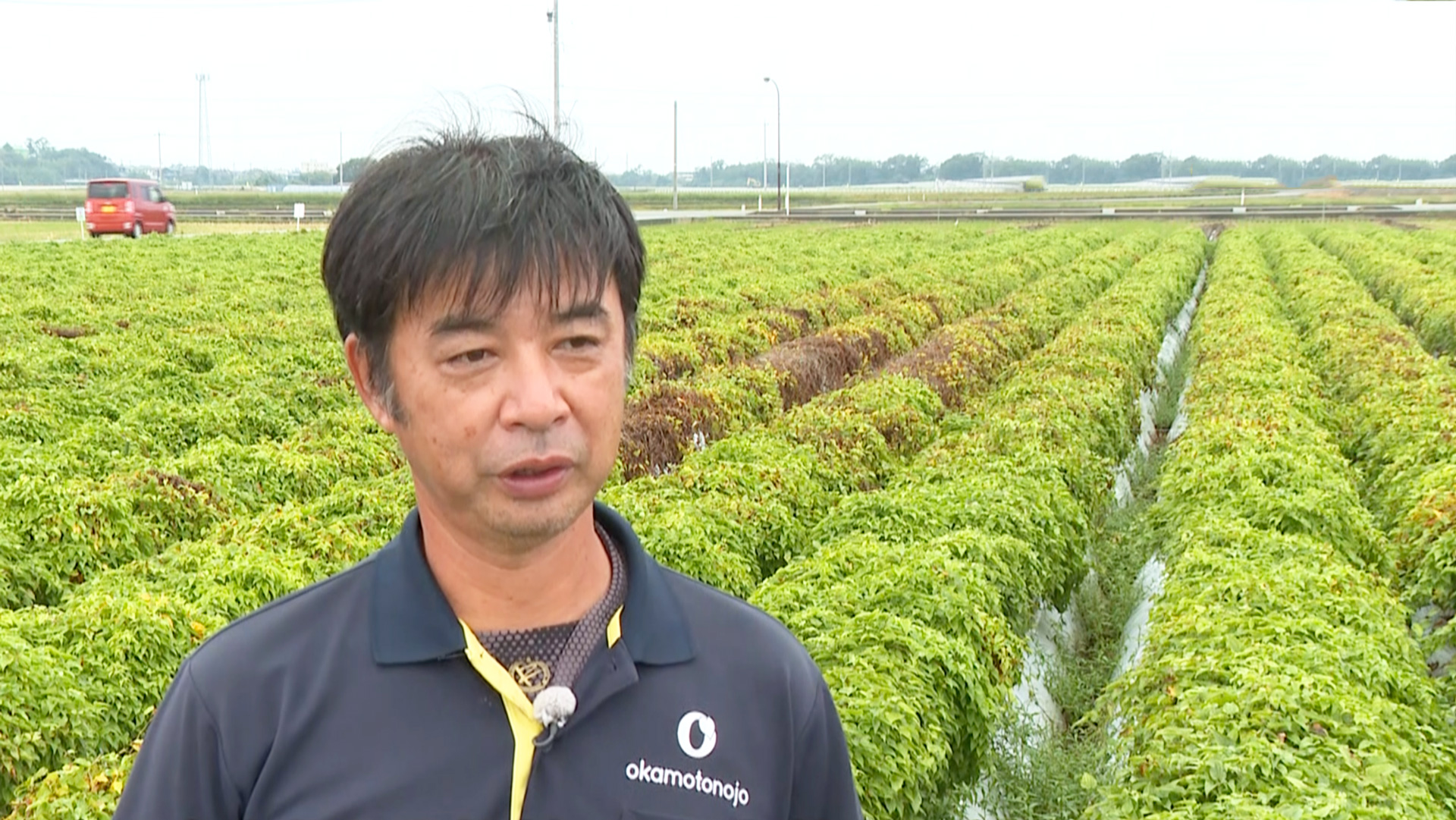 食を支える匠 ～豊かな食文化を次世代へ～命と歴史をつなぐ伝統野菜
